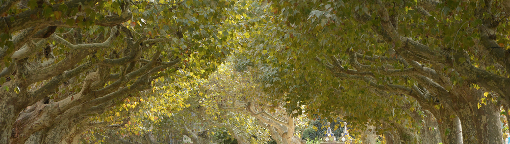 Imagen para los medios: La teva opinió sobre Decidim